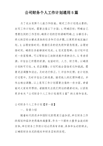 公司财务个人工作计划通用5篇