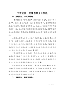 交流发言：党建引领企业发展