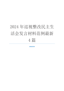 2024年巡视整改民主生活会发言材料范例最新4篇