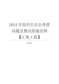 2024年组织生活会查摆问题及整改措施范例【汇集4篇】