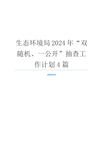 生态环境局2024年“双随机、一公开”抽查工作计划4篇