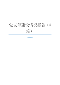 党支部建设情况报告（4篇）
