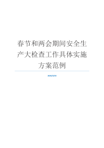 春节和两会期间安全生产大检查工作具体实施方案范例