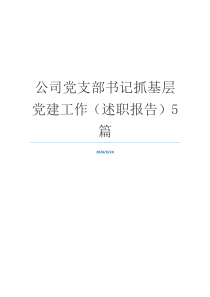 公司党支部书记抓基层党建工作（述职报告）5篇