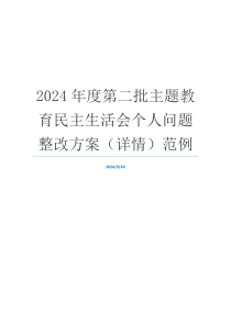 2024年度第二批主题教育民主生活会个人问题整改方案（详情）范例