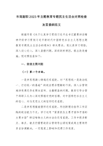 市局副职2023年主题教育专题民主生活会对照检查发言提纲范文