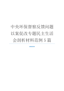 中央环保督察反馈问题以案促改专题民主生活会剖析材料范例5篇