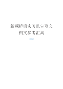 新颖桥梁实习报告范文例文参考汇集