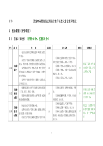 某发电有限责任公司安全生产标准化专业查评情况(表)