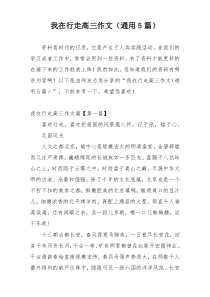 我在行走高三作文（通用5篇）