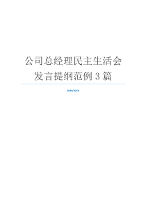 公司总经理民主生活会发言提纲范例3篇