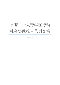 贯彻二十大青年在行动社会实践报告范例3篇