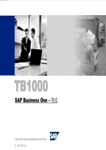 SAPB1TB1000