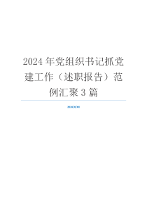 2024年党组织书记抓党建工作（述职报告）范例汇聚3篇