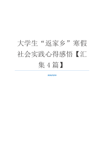 大学生“返家乡”寒假社会实践心得感悟【汇集4篇】