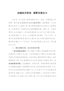 在经济统战工作会议上的汇报发言