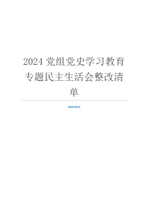 2024党组党史学习教育专题民主生活会整改清单