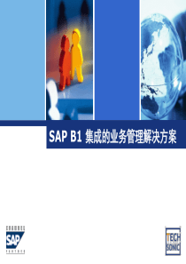 SAPB1解决方案介绍