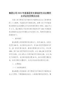 集团公司2023年度基层党支部组织生活会暨民主评议党员情况总结