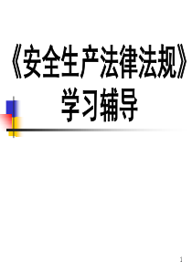 生产经营单位主要负责人安全生产管理知识培训课程(包含法规、管理和技术)(5)(PPT 248页)(1