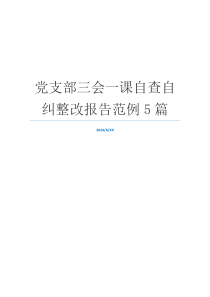 党支部三会一课自查自纠整改报告范例5篇