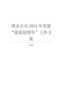 国企公司2024年党建“提质创效年”工作方案