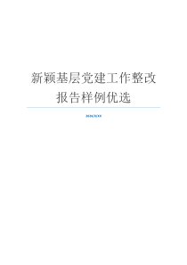 新颖基层党建工作整改报告样例优选