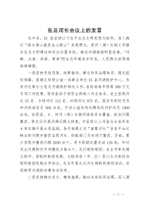 在总河长会议上的经验交流发言