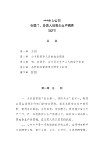 电力企业公司各部门_各级人员安全生产职责（DOC32页）