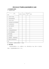 电力建设施工企业安全生产标准化规范及达标评级标准检查表