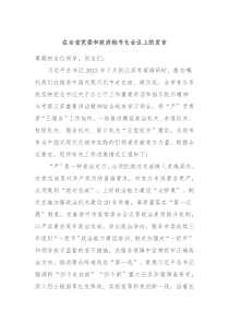 在全省党委和政府秘书长会议上的发言