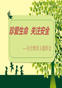 珍爱生命_关注安全主题班会课件（PPT40页)