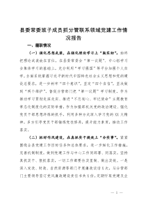 县委常委班子成员抓分管联系领域党建工作情况报告