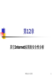 第9章 其他Internet应用的安全性分析