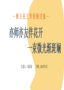 班主任工作经验交流亦师亦友伴花开一束微光渐斑斓ppt讲稿