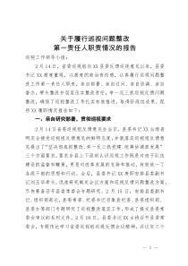 关县委书记于履行巡视问题整改第一责任人职责情况的报告