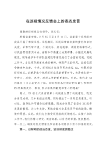 在巡视情况反馈会上的表态发言