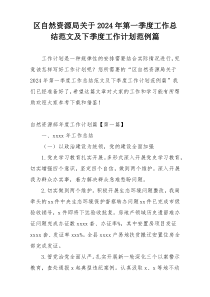 区自然资源局关于2024年第一季度工作总结范文及下季度工作计划范例篇