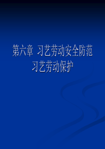 第六章习艺劳动安全防范习艺劳动保护