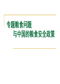 粮食问题与中国的粮食安全政策专题