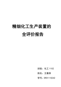 精细化工生产装置的安全评价报告