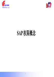 SAPBASIS权限使用总结