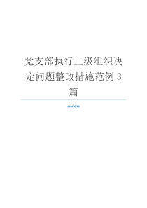 党支部执行上级组织决定问题整改措施范例3篇