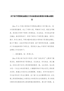 关于班子思想政治建设工作总结报告的案例分析集合篇范文