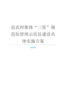 县农村集体“三资”规范化管理示范县建设具体实施方案