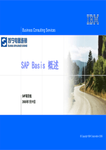 SAPBasis概述