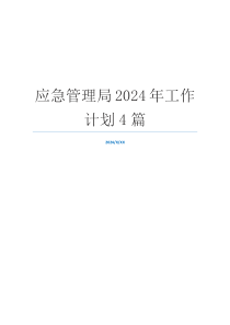 应急管理局2024年工作计划4篇