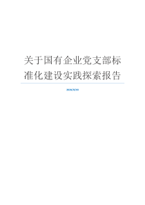 关于国有企业党支部标准化建设实践探索报告