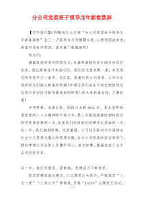 分公司党委班子领导龙年新春致辞