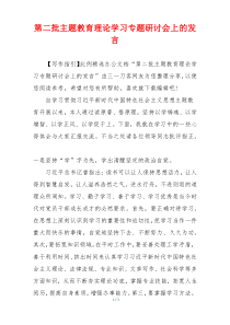 第二批主题教育理论学习专题研讨会上的发言